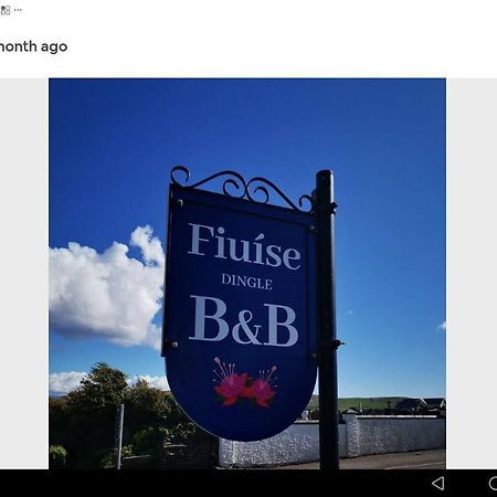 Fiuise B&B Ντίνγκλε Εξωτερικό φωτογραφία